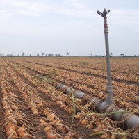 Dotace na pojištění pro největší agrární podniky ukazuje skutečné priority této vlády 